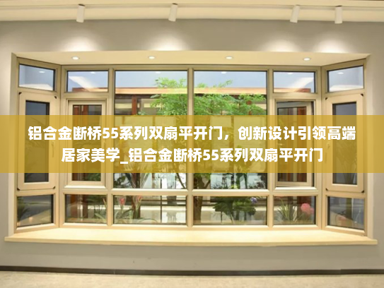 铝合金断桥55系列双扇平开门，创新设计引领高端居家美学_铝合金断桥55系列双扇平开门