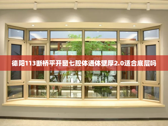 德阳113断桥平开窗七腔体通体壁厚2.0适合底层吗