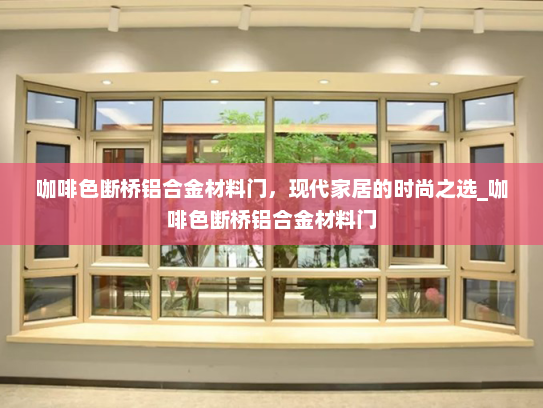 咖啡色断桥铝合金材料门，现代家居的时尚之选_咖啡色断桥铝合金材料门